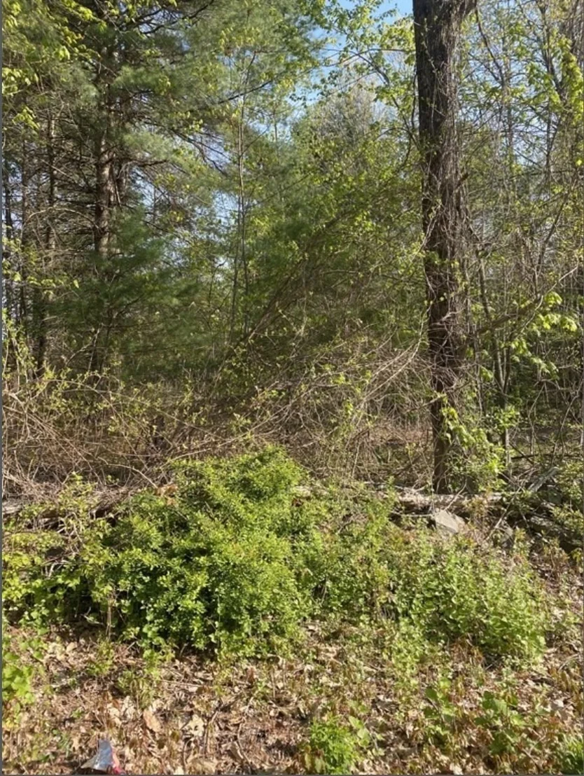 Photo of 77 Town Farm