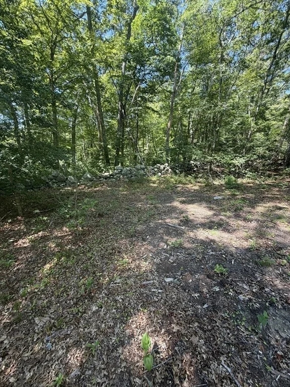 Photo of Lot 3 Thomas Cory Ln