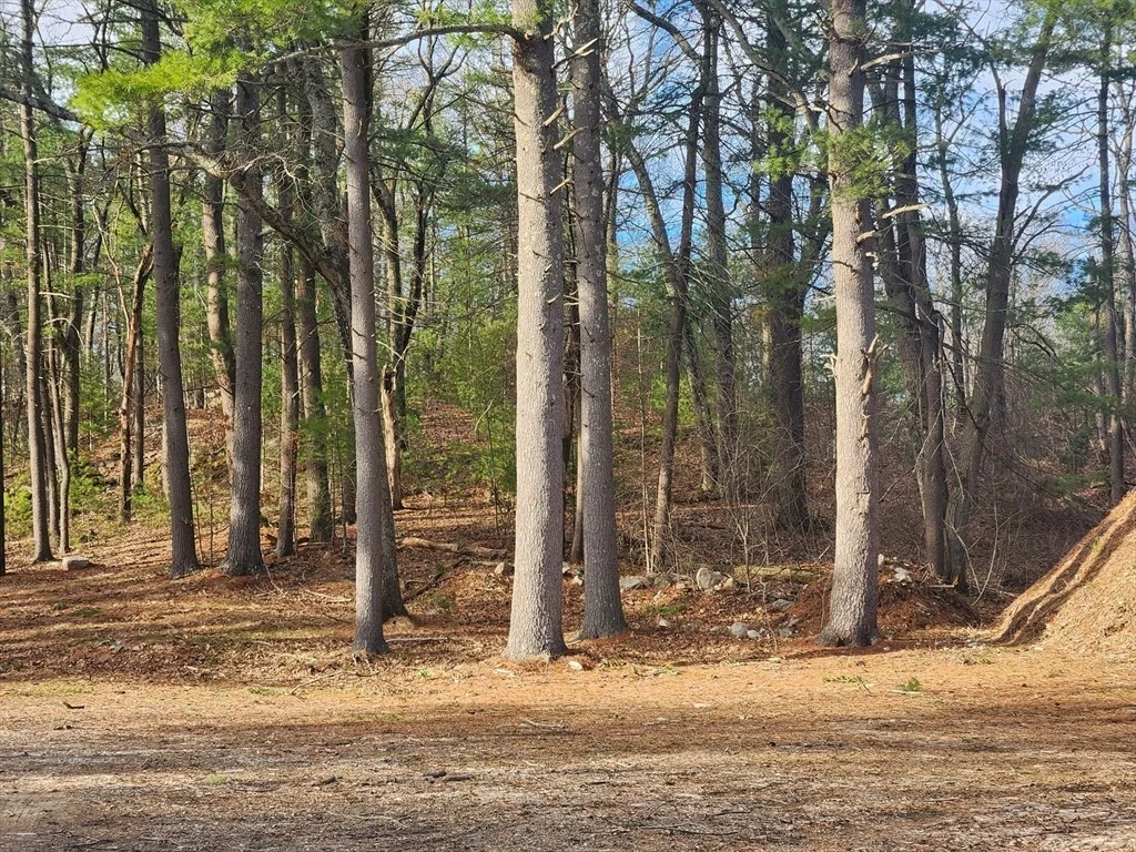 Photo of 63 Farm Road  Lot 5