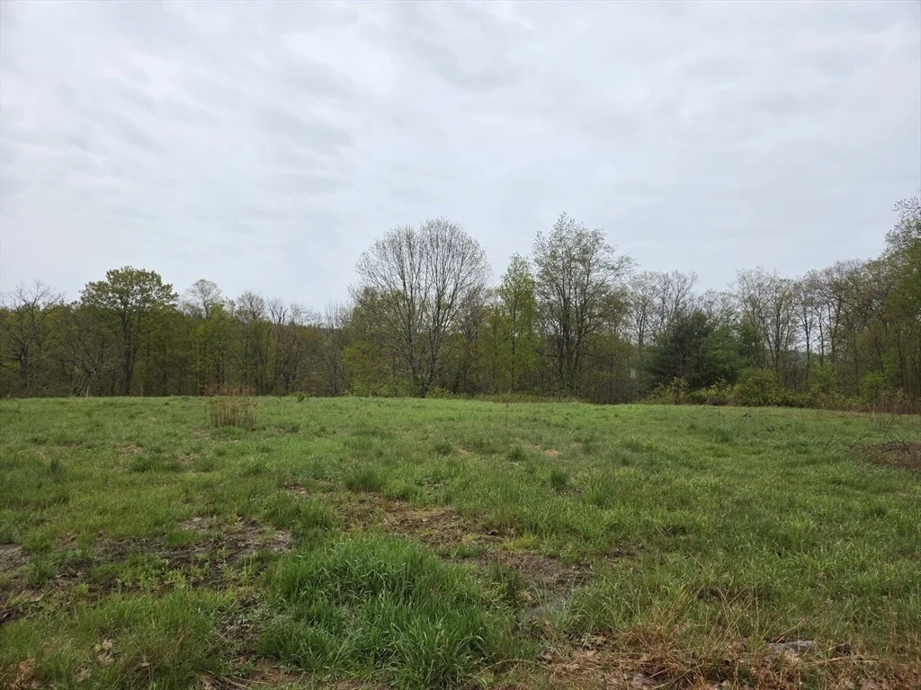 Photo of Lot 3F Petersham Road