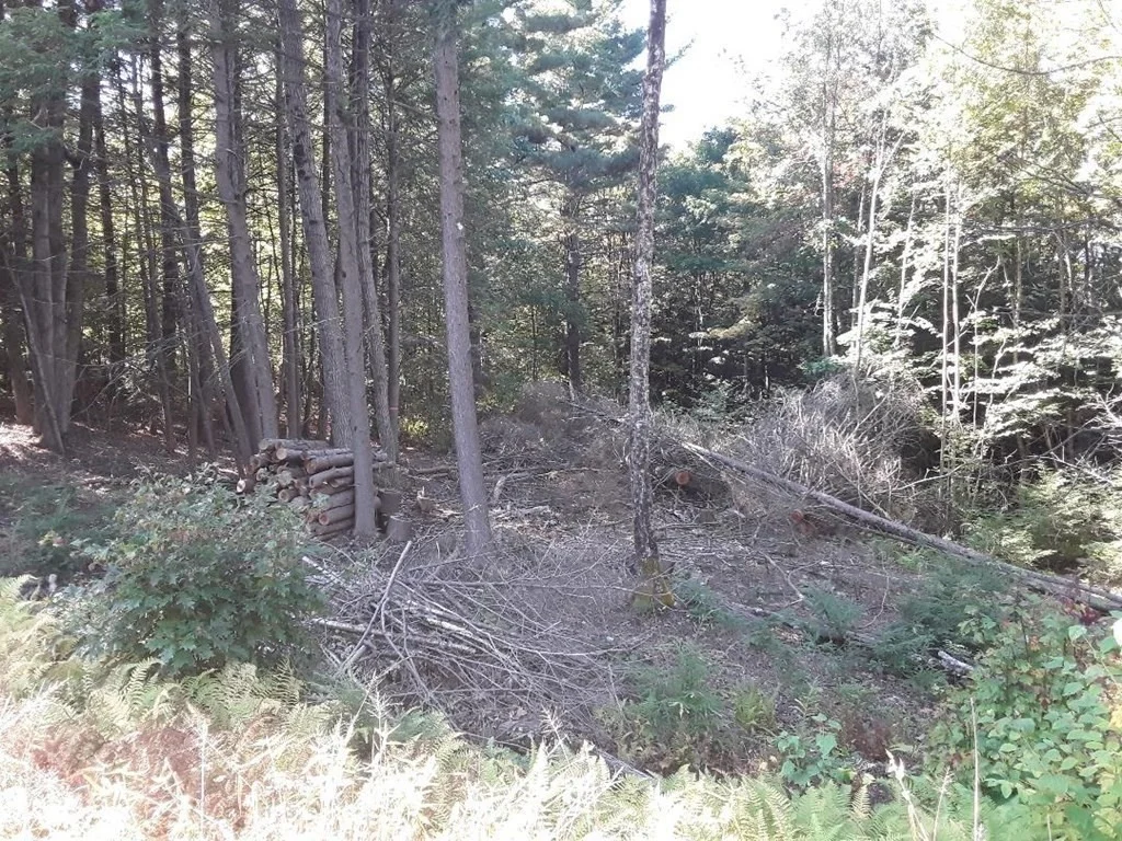 Photo of 296 Northwest Road