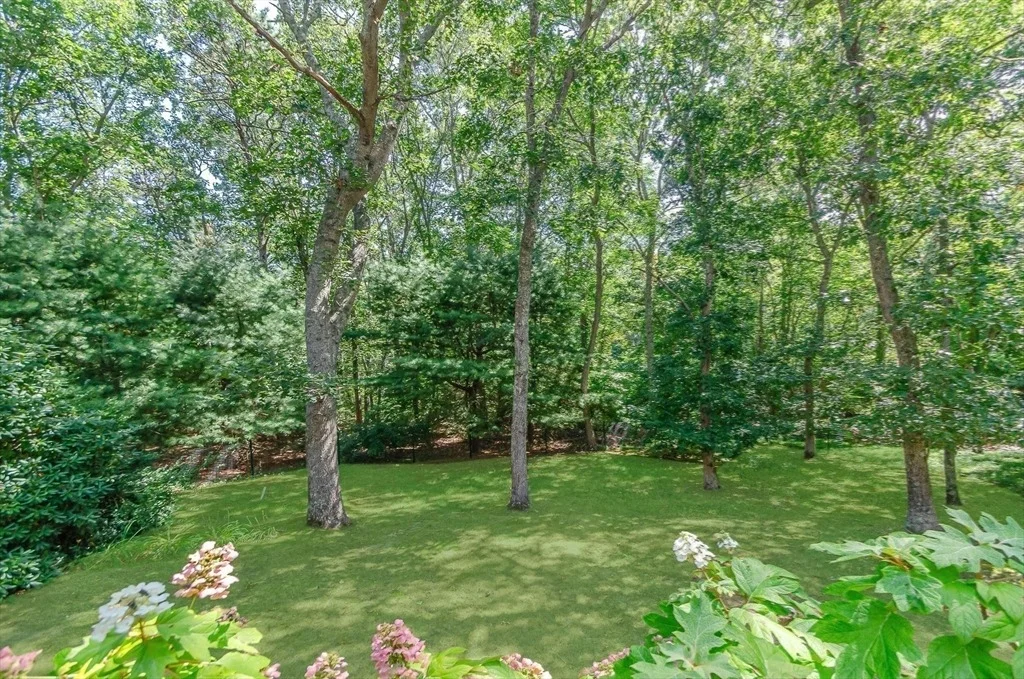 Photo of 35 Meadow Haven Dr