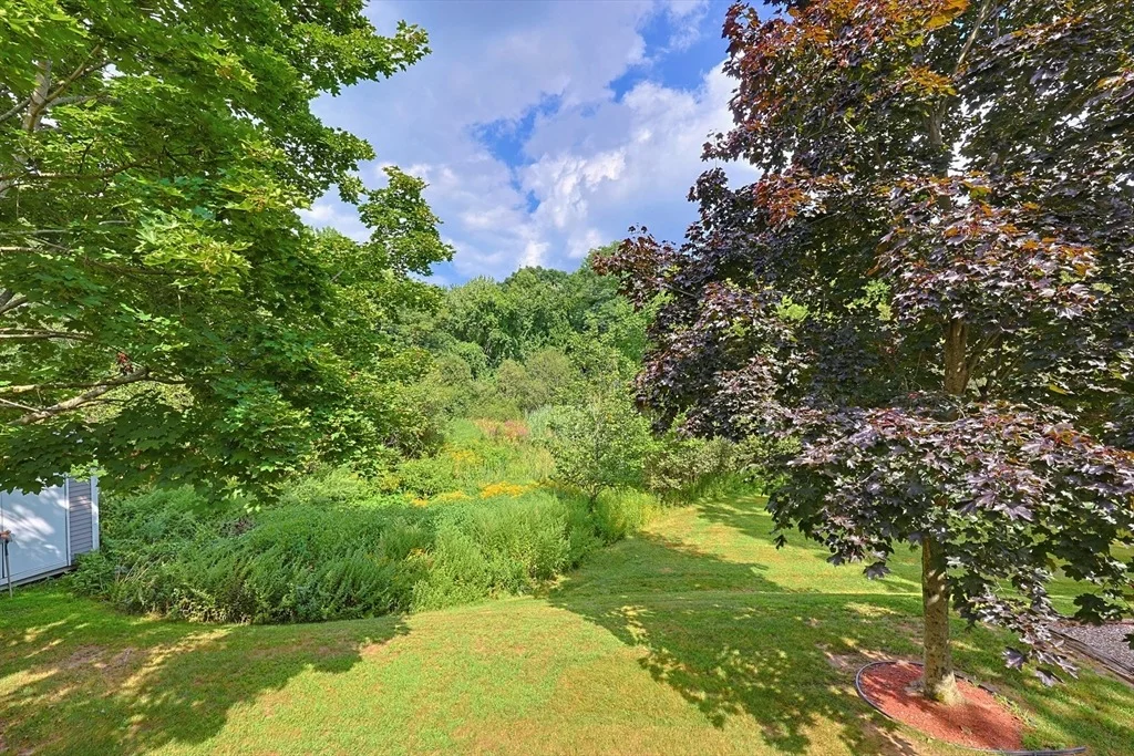 Photo of 19 Smith Road