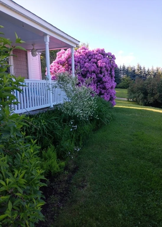 Photo of 16 Brigham Rd