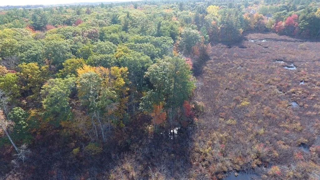 Photo of Lot 2 Pondview Lane