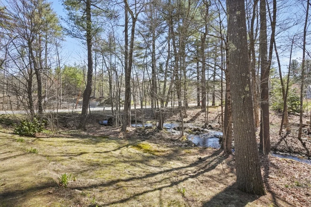 Photo of 15 Proctor Road