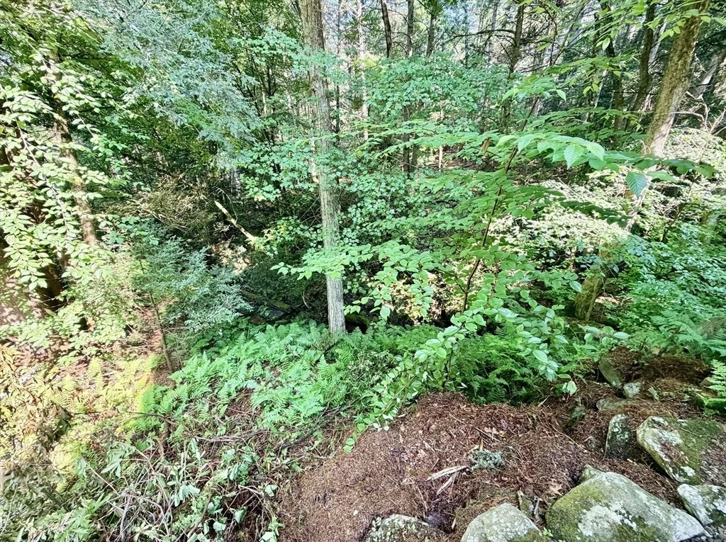 Photo of 41 Thresher Rd