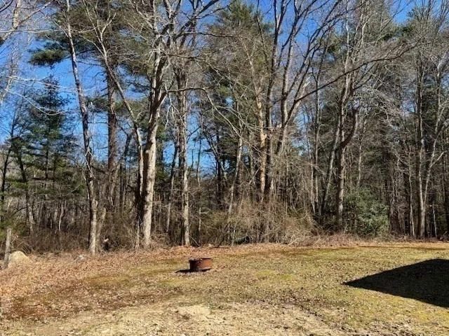 Photo of 195 Slab Bridge Rd