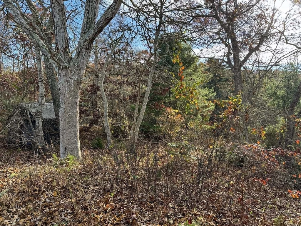Photo of 30 Pond St