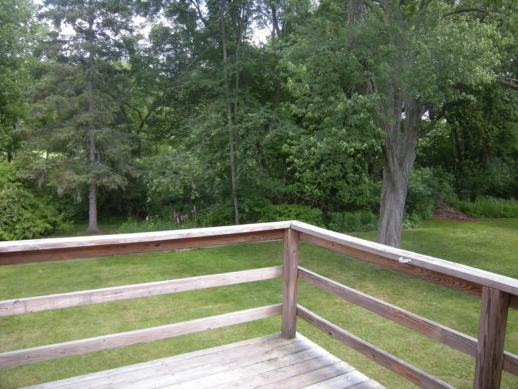 Photo of 20 Curtis Road