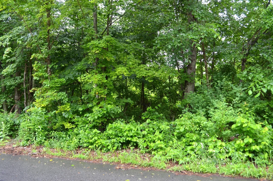 Photo of Lot 5 Babcock Tavern Rd