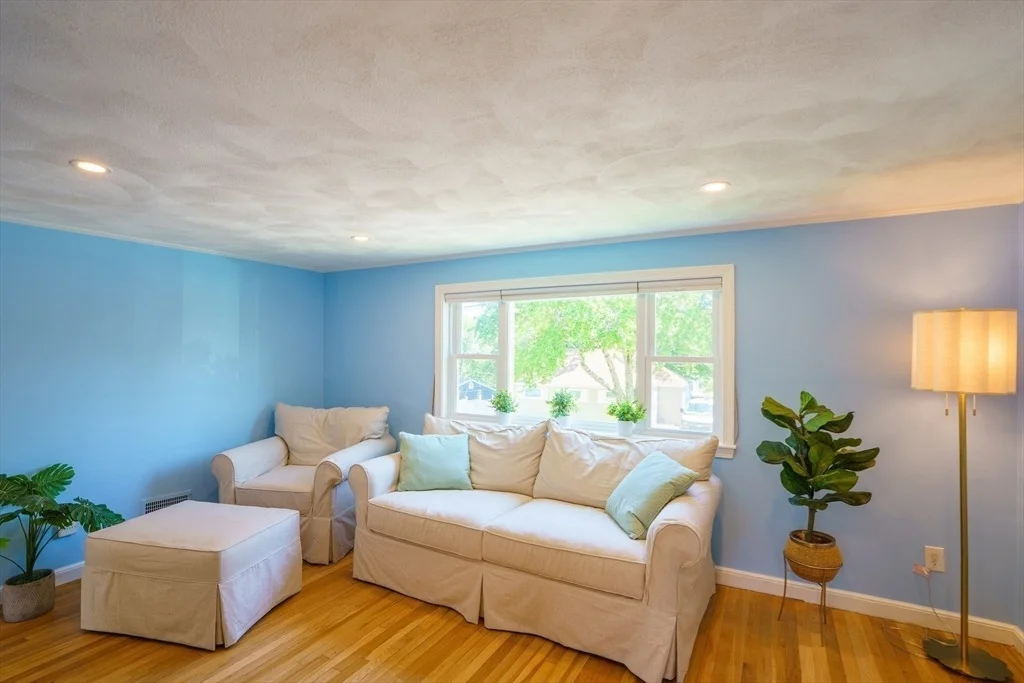 Photo of 38 Grassmere Rd