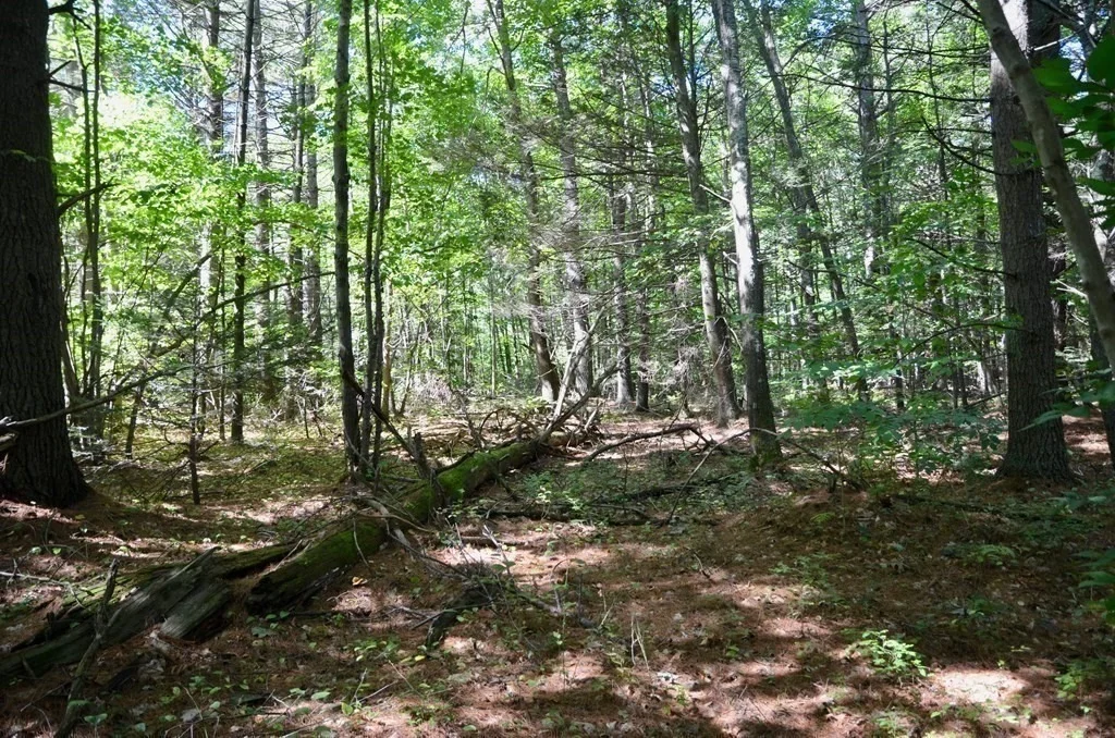 Photo of 154 Lafayette Rd