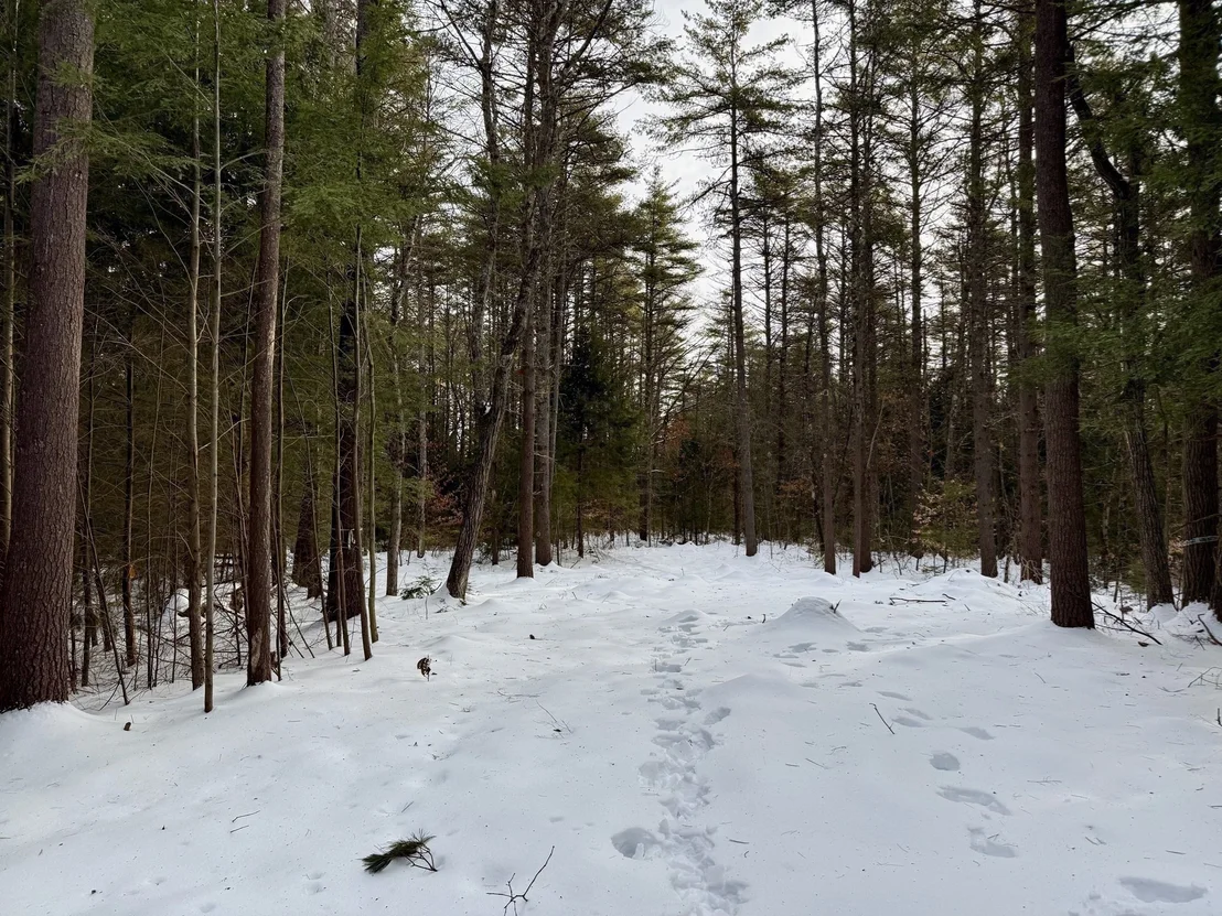 Photo of 0 Old Keene Rd