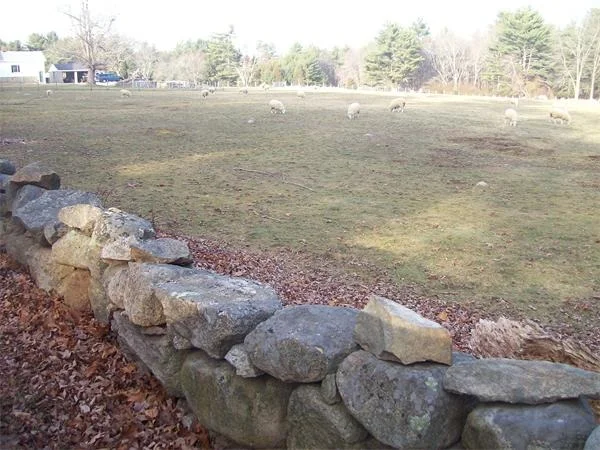 Photo of 0000 Flagg Swamp Road