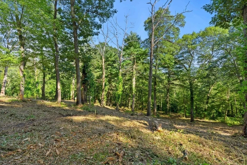 Photo of 45 Pineswamp Rd