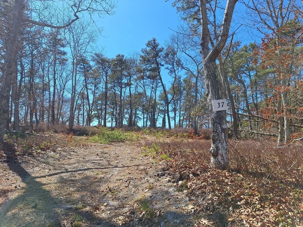 Photo of 37 Oak Valley Rd