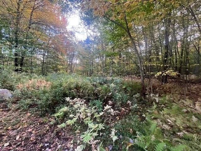 Photo of 0 Stryker Road