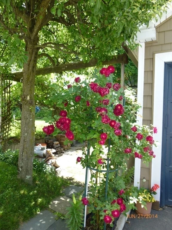 Photo of 10 Dow Ave