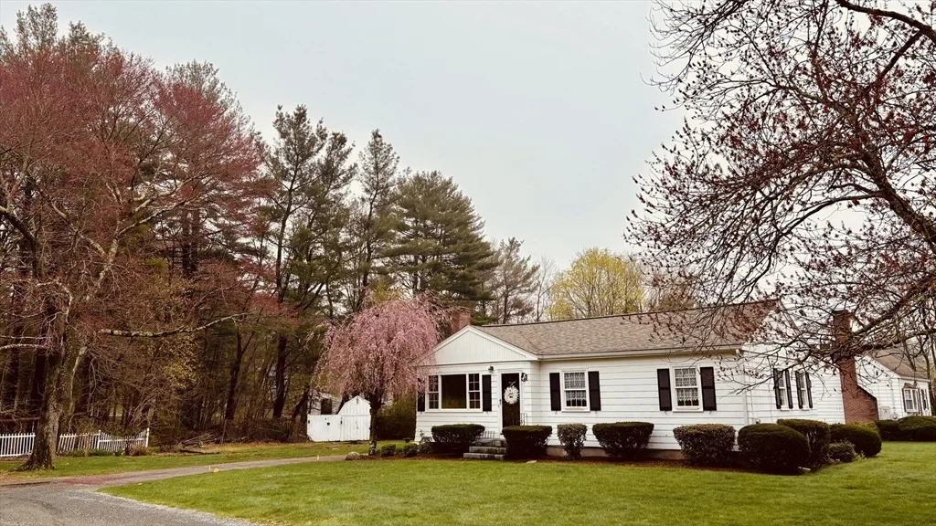 Photo of 29 Forest Street