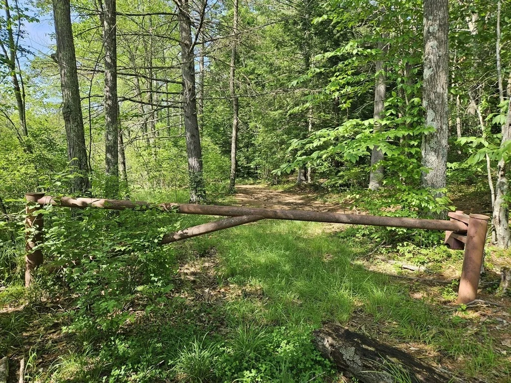 Photo of 0 Branch Bridge Rd