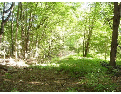 Photo of Lot 29 Bragg Rd