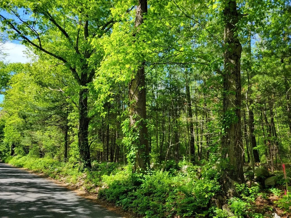 Photo of Lot 6 Daniels Rd