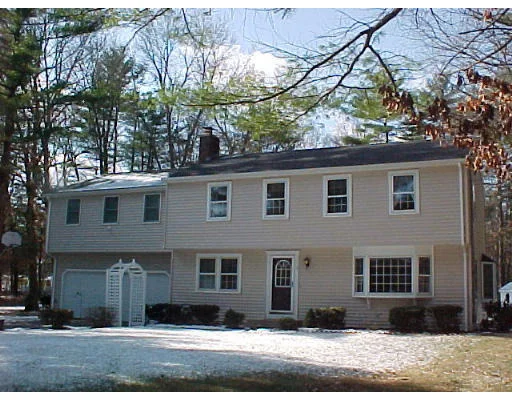 Photo of 3 Juniper