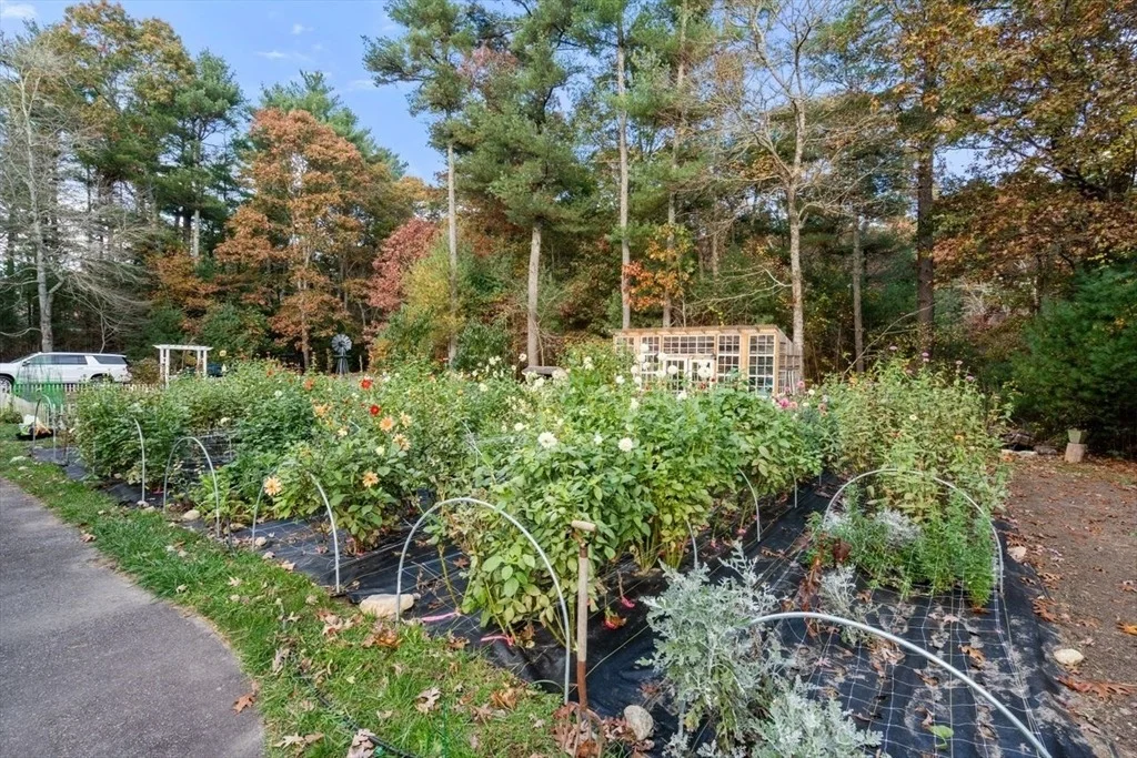 Photo of 75 Walnut Plain Rd
