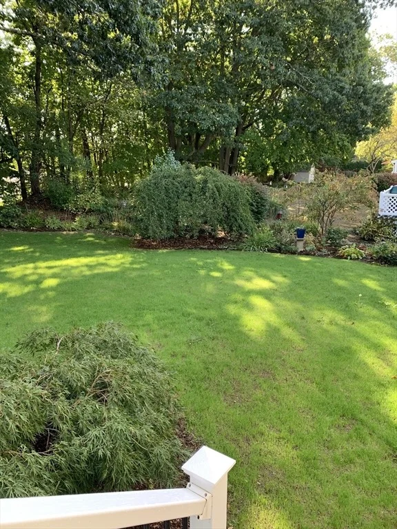 Photo of 40 Dean Rd