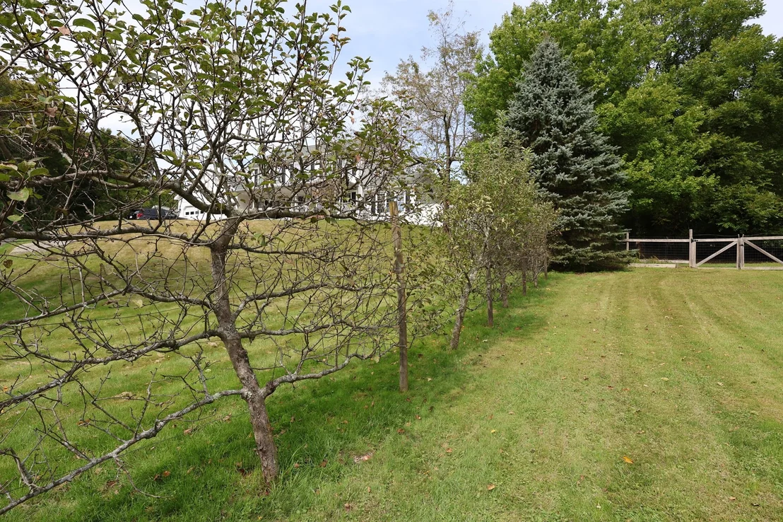 Photo of 162 Jackson