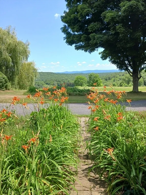 Photo of 41 Coombs Hill Road