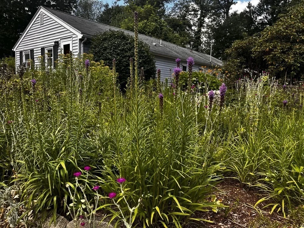 Photo of 25 Valley Road