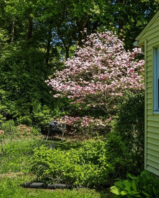 Photo of 16 Saybrook Cir