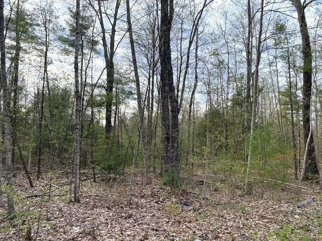 Photo of 12-L New Athol Rd