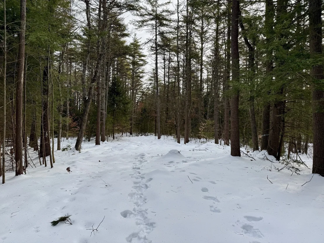 Photo of 0 Old Keene Rd