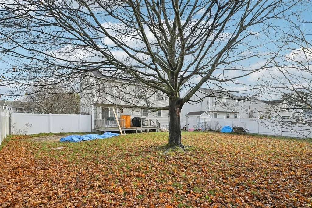 Photo of 29 Wimbledon Xing