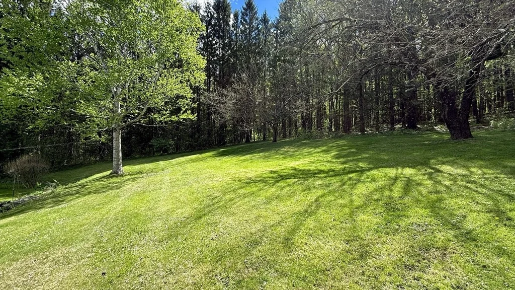 Photo of 81 Clinton Rd