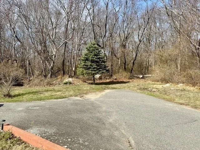 Photo of 85 Leland Rd