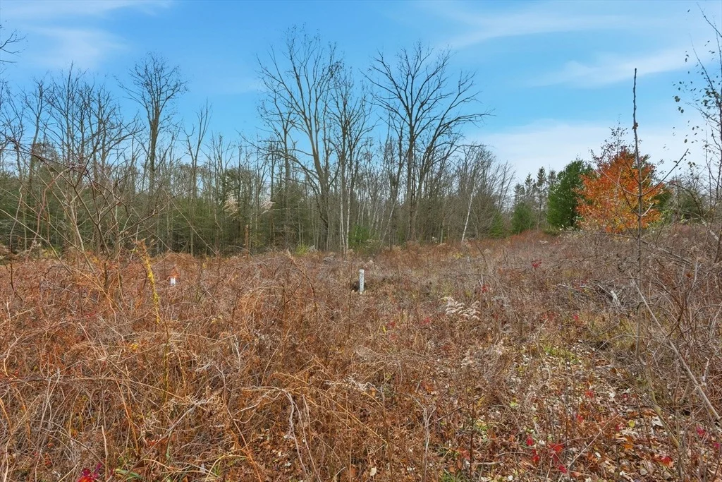Photo of Lot 2 Mine Rd