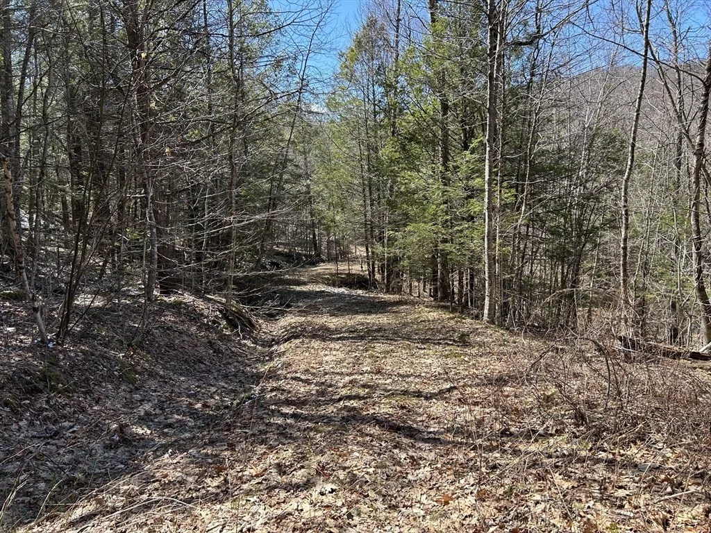 Photo of 71 Dodge Rd