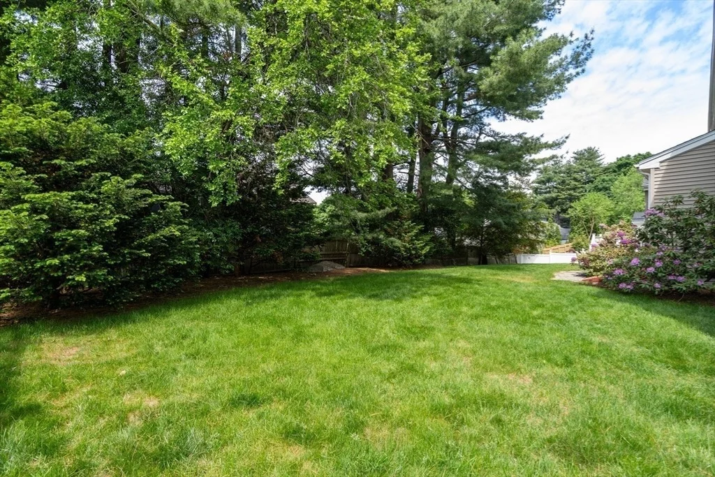 Photo of 77 Cedar Street