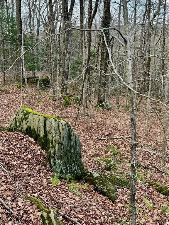 Photo of 0 Parish Road