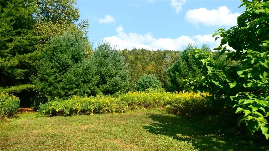 Photo of 155 River Rd