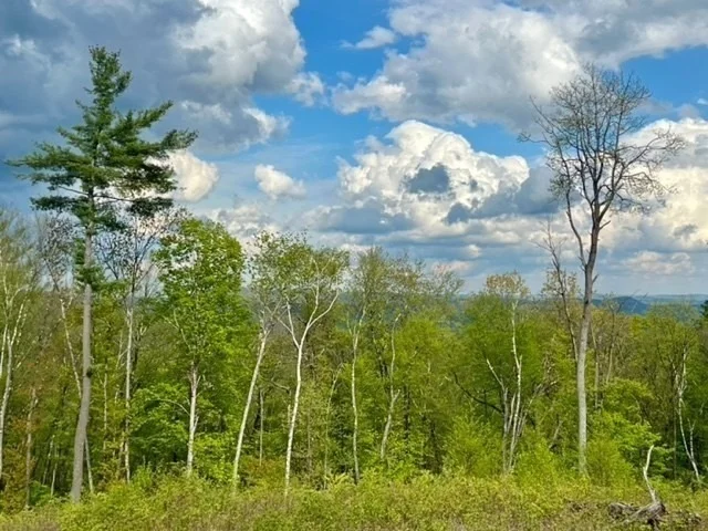Photo of 40 Whately Glen Road