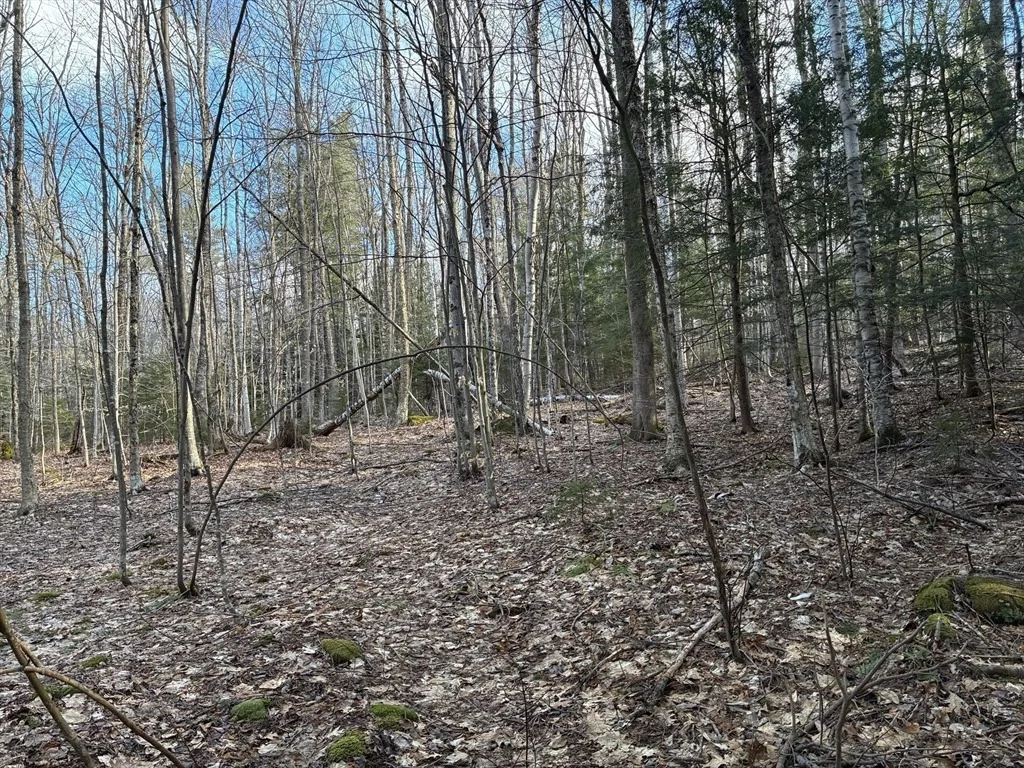 Photo of 2 Leshure Rd