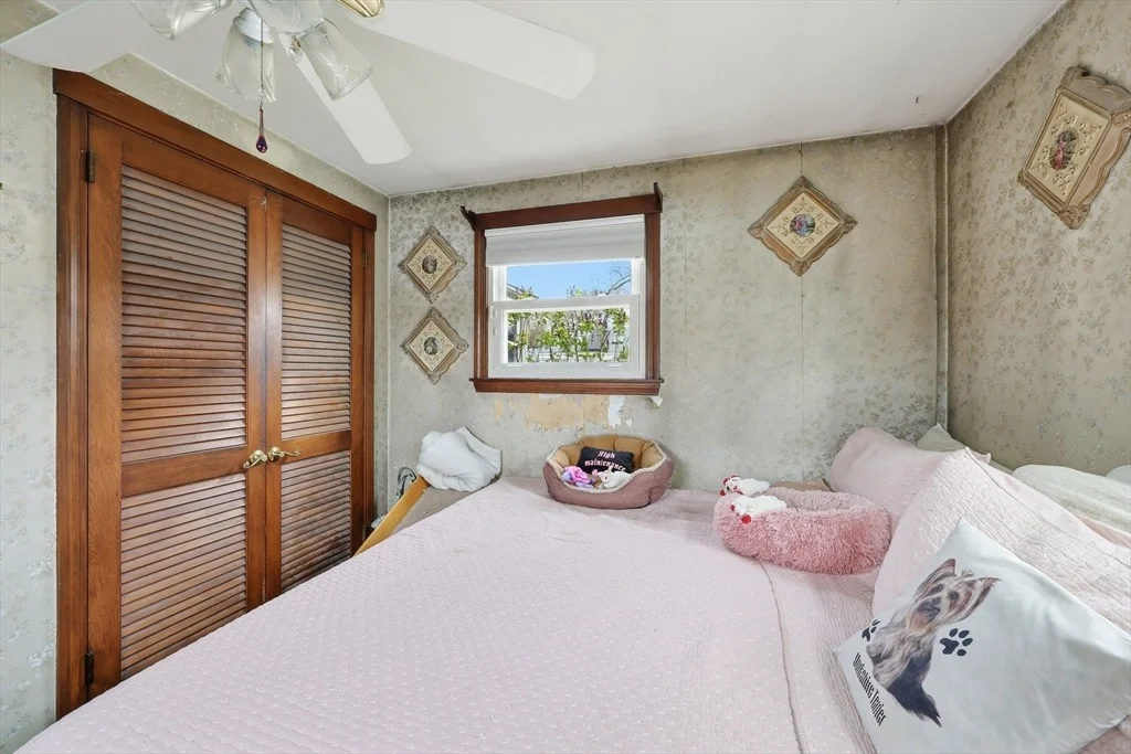 Photo of 11 Judith St
