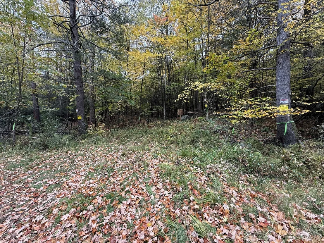 Photo of 0 Old Stage Rd