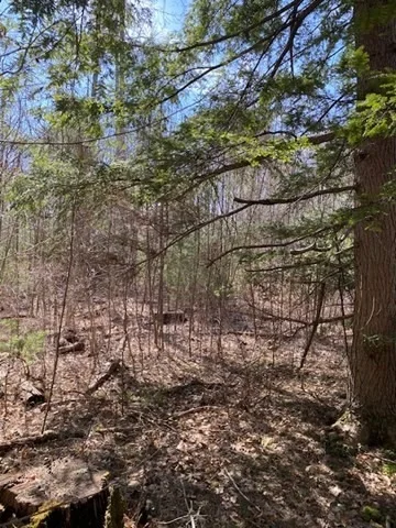 Photo of 9-L New Athol Rd