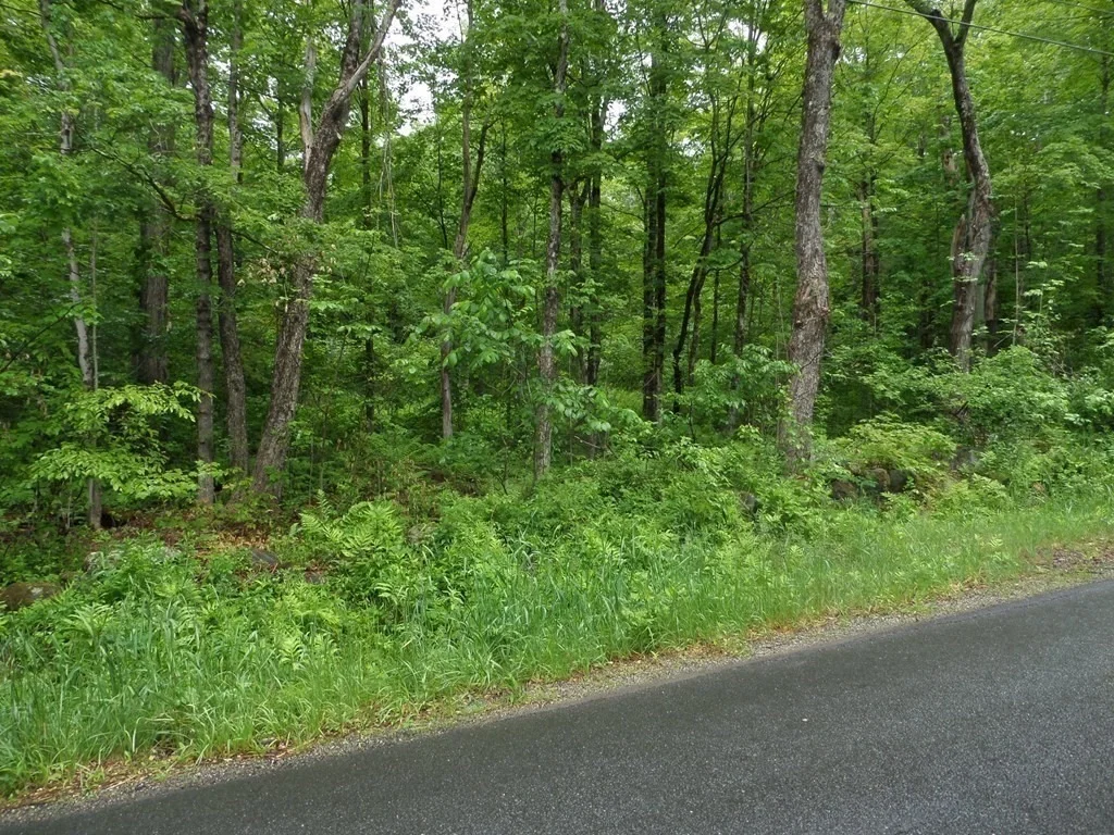 Photo of 333 Ranney Corner Rd